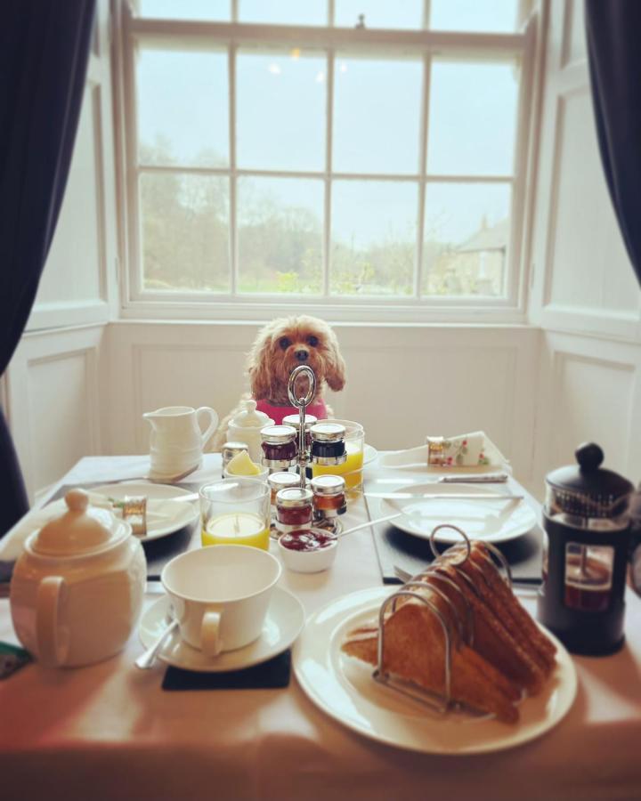 Burnley House Bed & Breakfast Hutton le Hole Kültér fotó